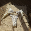 STARFISH - WHITE